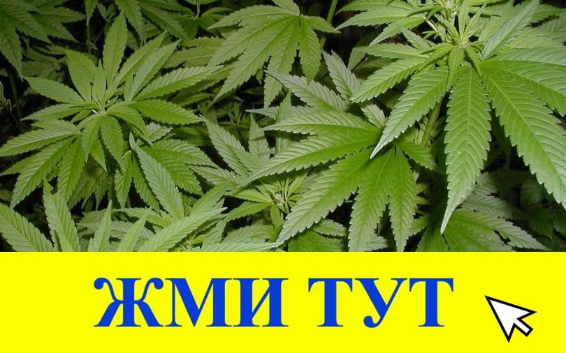 Купить наркотики в Темрюке